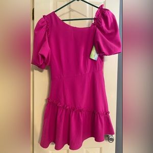 TCEC Small Magenta Dress